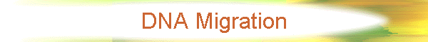 DNA Migration