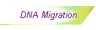 DNA Migration